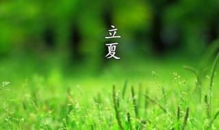 关于立夏的作文200字 立夏的作文怎么写呢