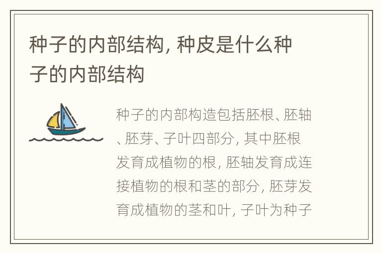 种子的内部结构，种皮是什么种子的内部结构