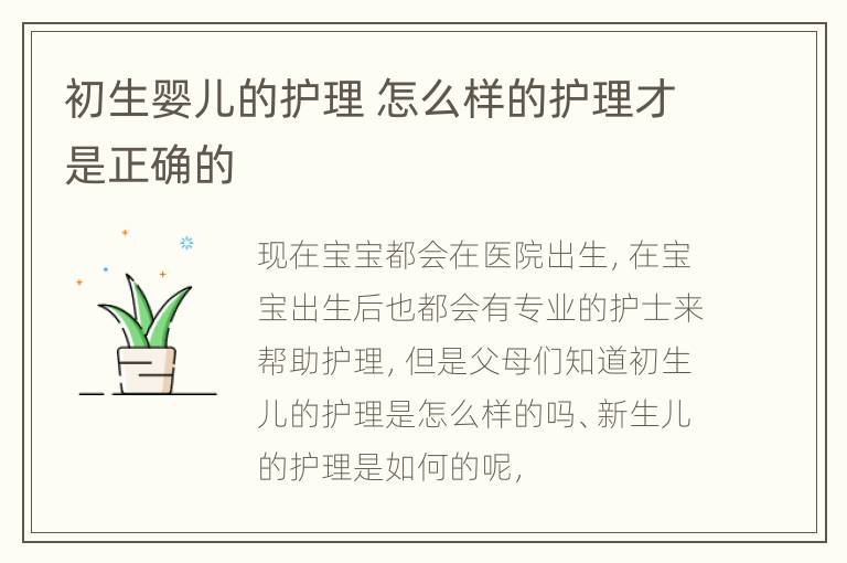 初生婴儿的护理 怎么样的护理才是正确的