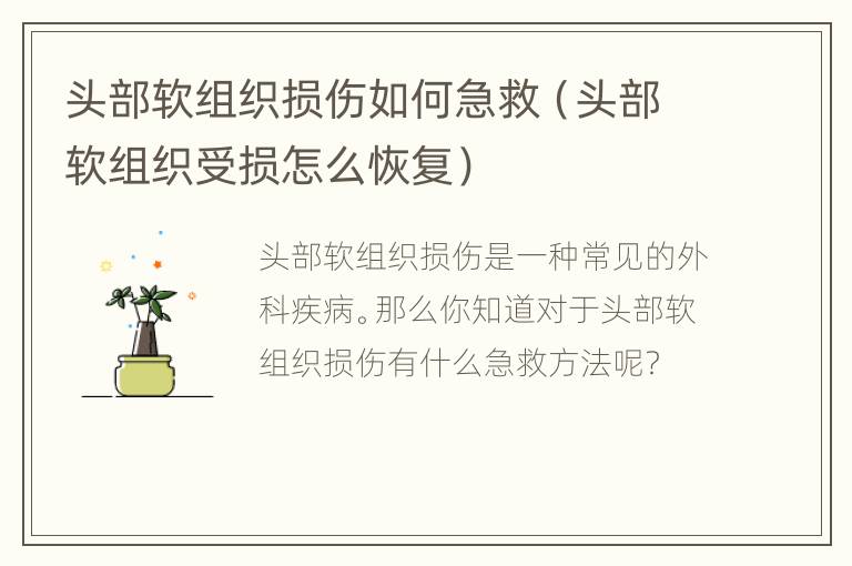 头部软组织损伤如何急救（头部软组织受损怎么恢复）