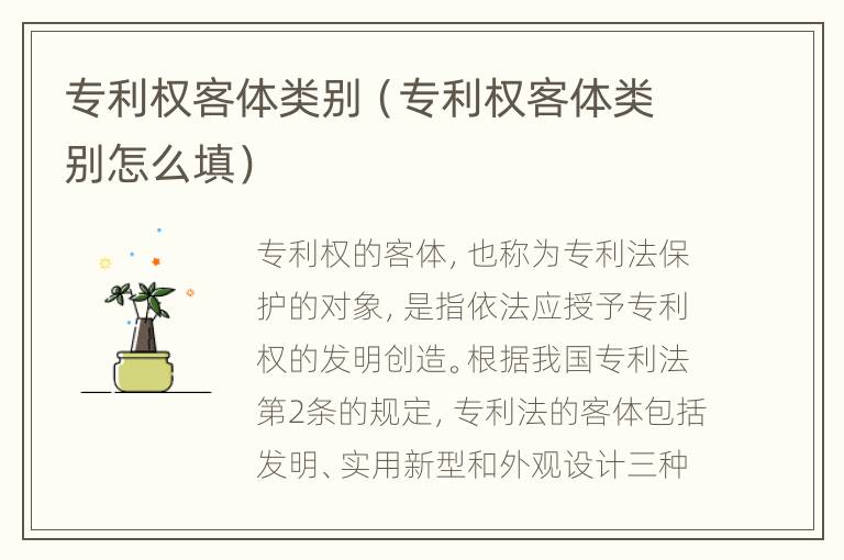 专利权客体类别（专利权客体类别怎么填）