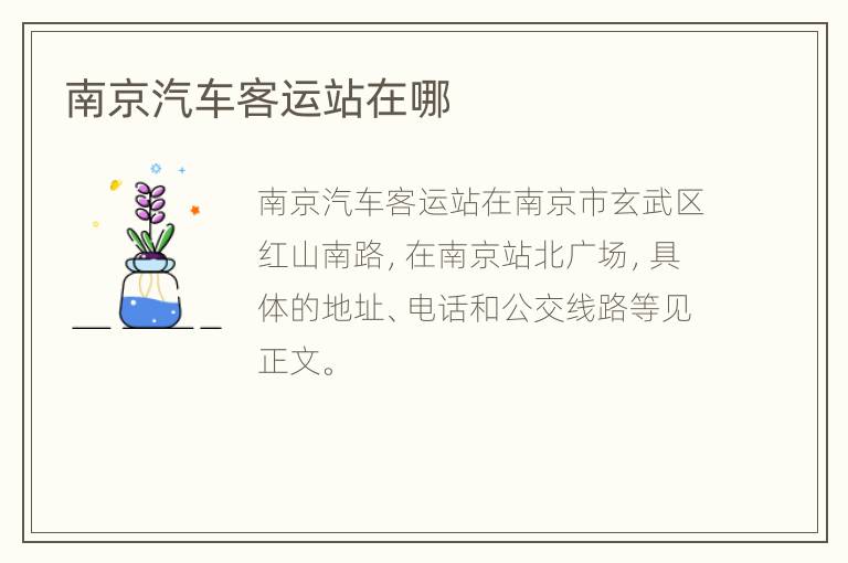 南京汽车客运站在哪