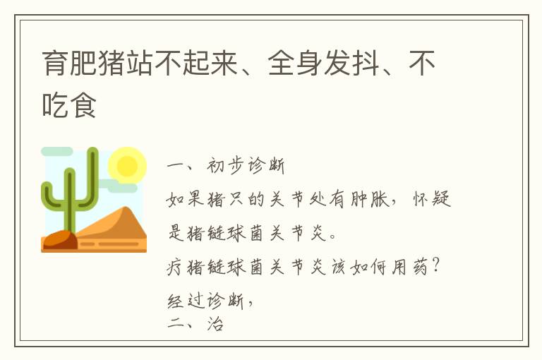 育肥猪站不起来、全身发抖、不吃食
