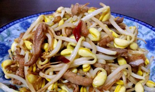 家常炒黄豆芽的做法是什么 黄豆芽怎么做