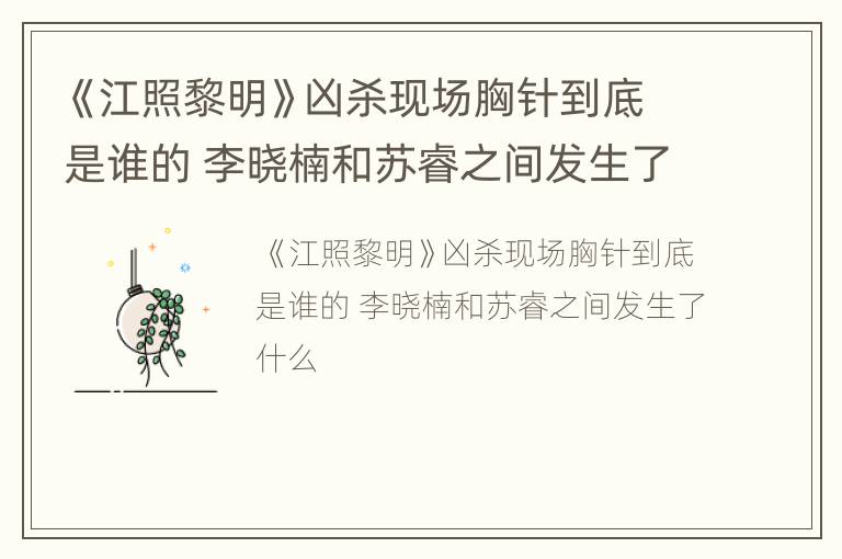 《江照黎明》凶杀现场胸针到底是谁的 李晓楠和苏睿之间发生了什么