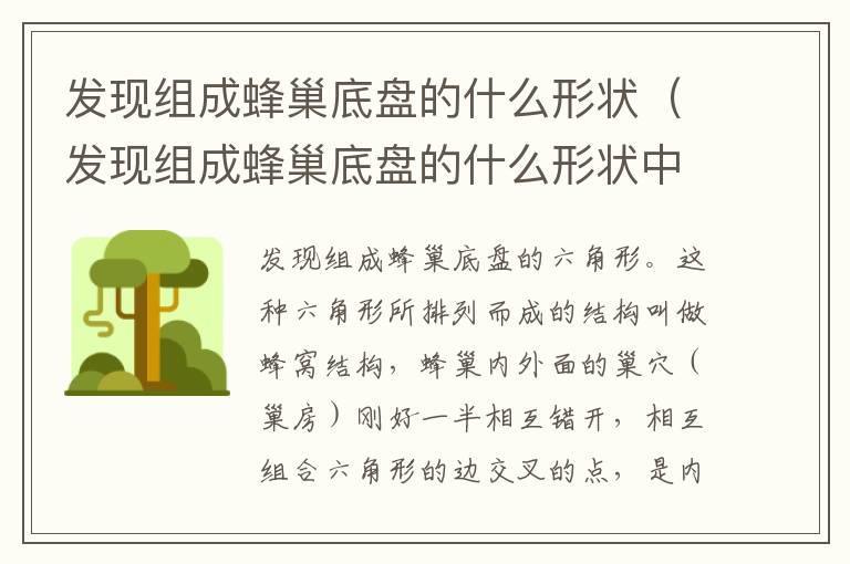 发现组成蜂巢底盘的什么形状（发现组成蜂巢底盘的什么形状中）