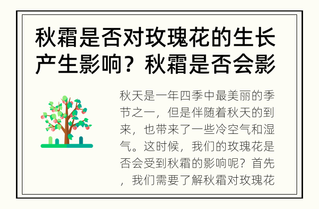 秋霜是否对玫瑰花的生长产生影响？ 秋霜是否会影响玫瑰花的生长？