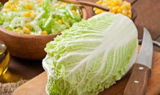 冬储大白菜种植方法（大白菜怎样冬储?）