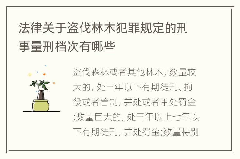 法律关于盗伐林木犯罪规定的刑事量刑档次有哪些