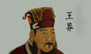王莽简介 王莽介绍
