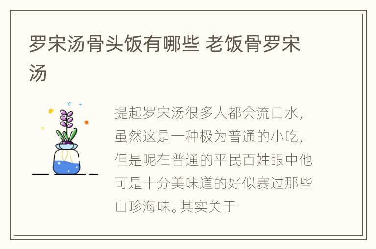 罗宋汤骨头饭有哪些 老饭骨罗宋汤