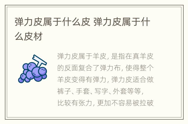 弹力皮属于什么皮 弹力皮属于什么皮材