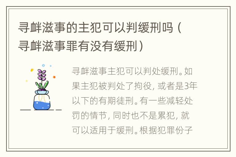 寻衅滋事的主犯可以判缓刑吗（寻衅滋事罪有没有缓刑）