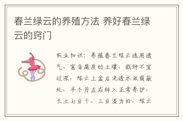 春兰绿云的养殖方法 养好春兰绿云的窍门
