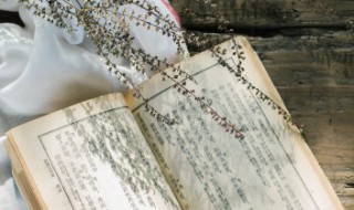 皴怎么读 皴的读音