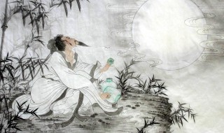 苏轼的生平事迹 苏轼的生平简介