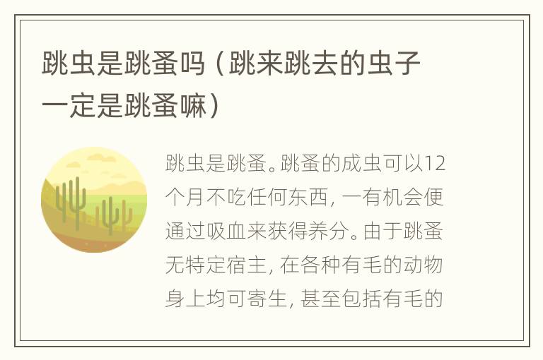 跳虫是跳蚤吗（跳来跳去的虫子一定是跳蚤嘛）