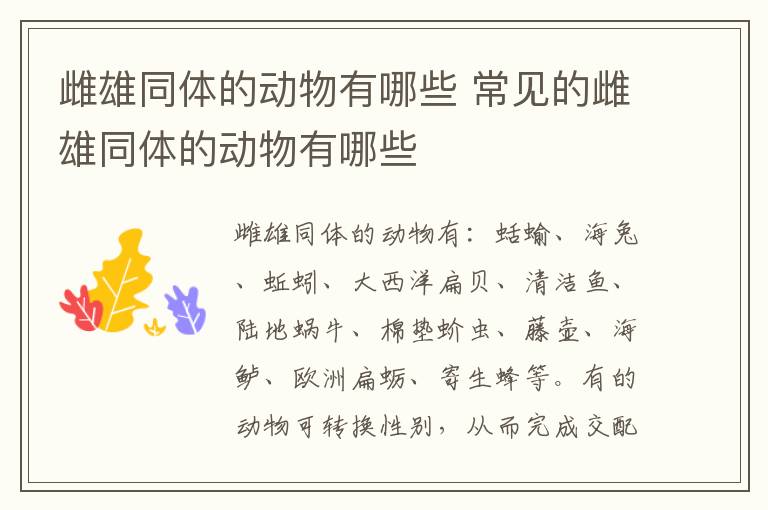 雌雄同体的动物有哪些 常见的雌雄同体的动物有哪些