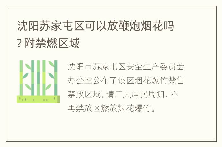 沈阳苏家屯区可以放鞭炮烟花吗？附禁燃区域