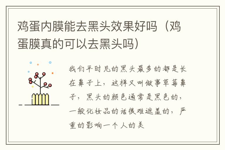 鸡蛋内膜能去黑头效果好吗（鸡蛋膜真的可以去黑头吗）