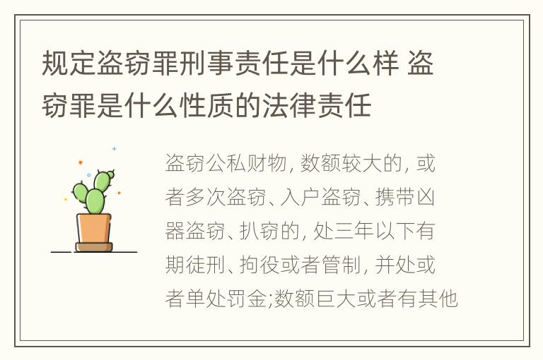 规定盗窃罪刑事责任是什么样 盗窃罪是什么性质的法律责任