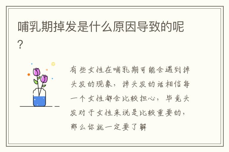 哺乳期掉发是什么原因导致的呢？