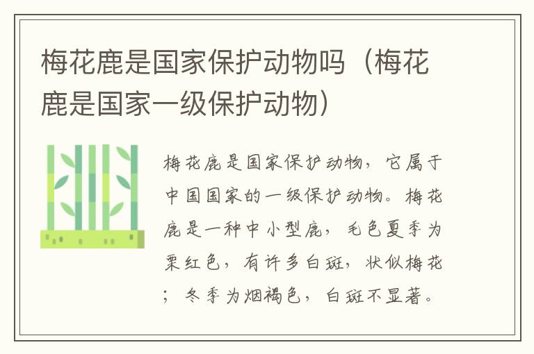 梅花鹿是国家保护动物吗（梅花鹿是国家一级保护动物）