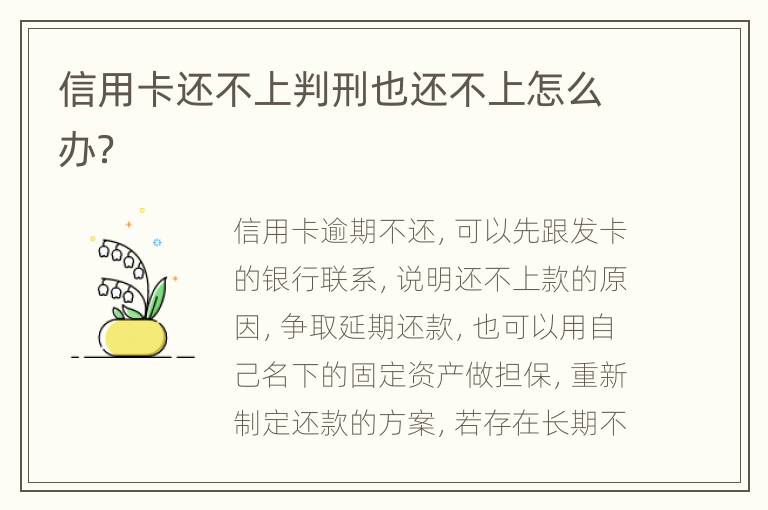 信用卡还不上判刑也还不上怎么办？