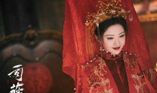 司藤电视剧是什么小说 司藤电视剧简介