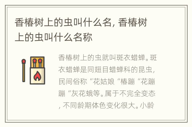 香椿树上的虫叫什么名，香椿树上的虫叫什么名称
