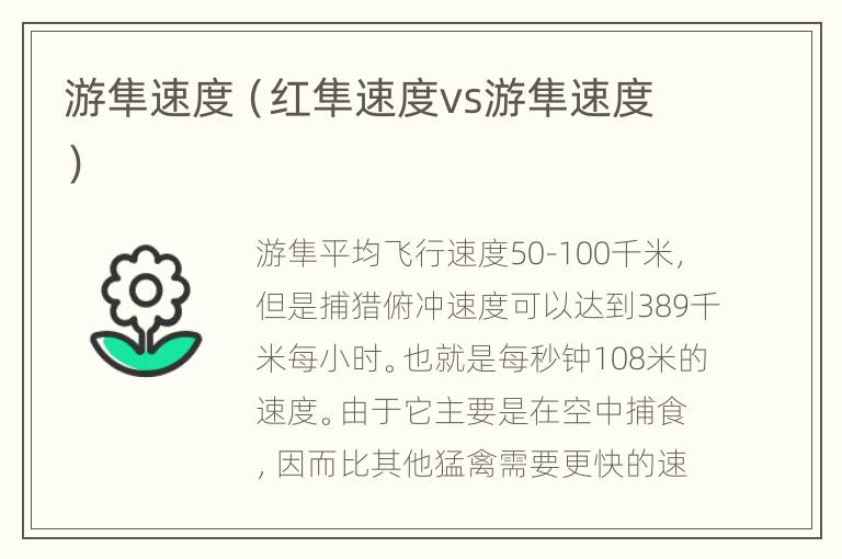 游隼速度（红隼速度vs游隼速度）