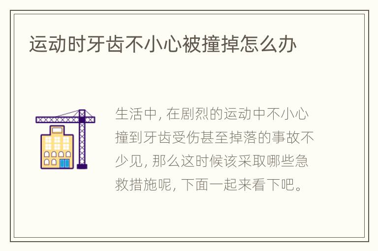 运动时牙齿不小心被撞掉怎么办