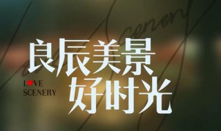良辰美景好时光更新时间 良辰美景好时光简介