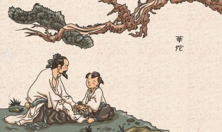 华佗简介 华佗有哪些作品