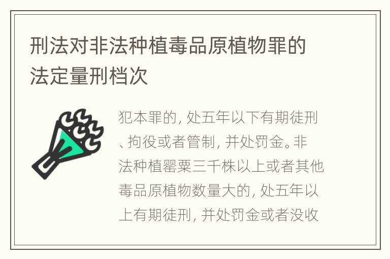 刑法对非法种植毒品原植物罪的法定量刑档次