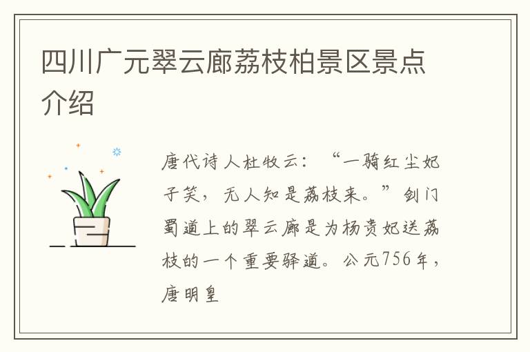 四川广元翠云廊荔枝柏景区景点介绍