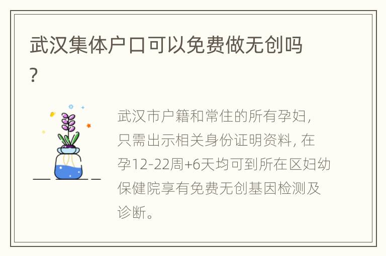 武汉集体户口可以免费做无创吗？