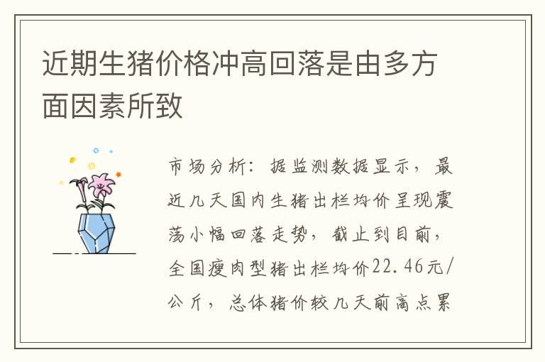 近期生猪价格冲高回落是由多方面因素所致