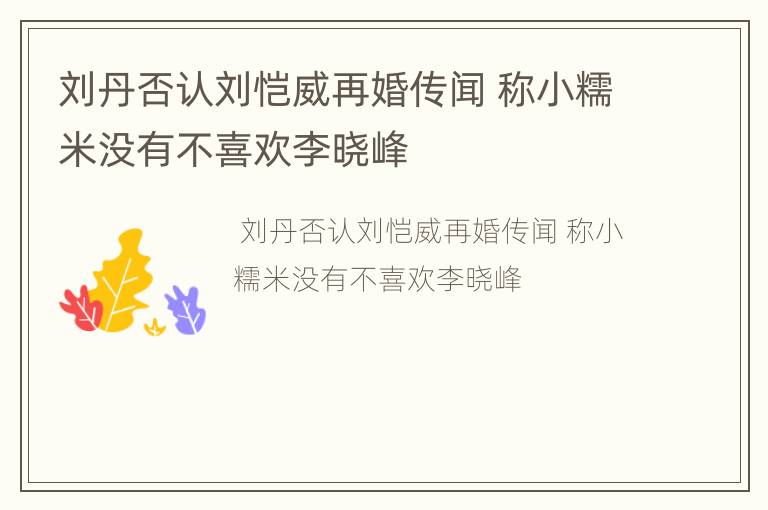 刘丹否认刘恺威再婚传闻 称小糯米没有不喜欢李晓峰