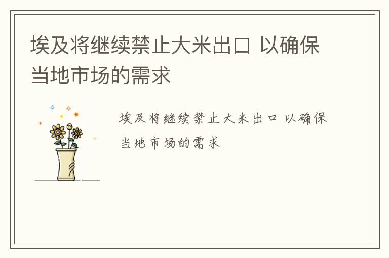 埃及将继续禁止大米出口 以确保当地市场的需求