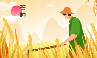 芒种节气朋友圈文案 适合芒种发朋友圈的句子