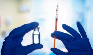 九价疫苗注射前后禁忌 九价疫苗注射前后禁忌简单介绍