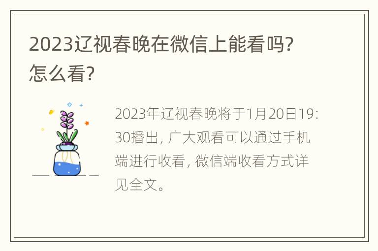 2023辽视春晚在微信上能看吗？怎么看？