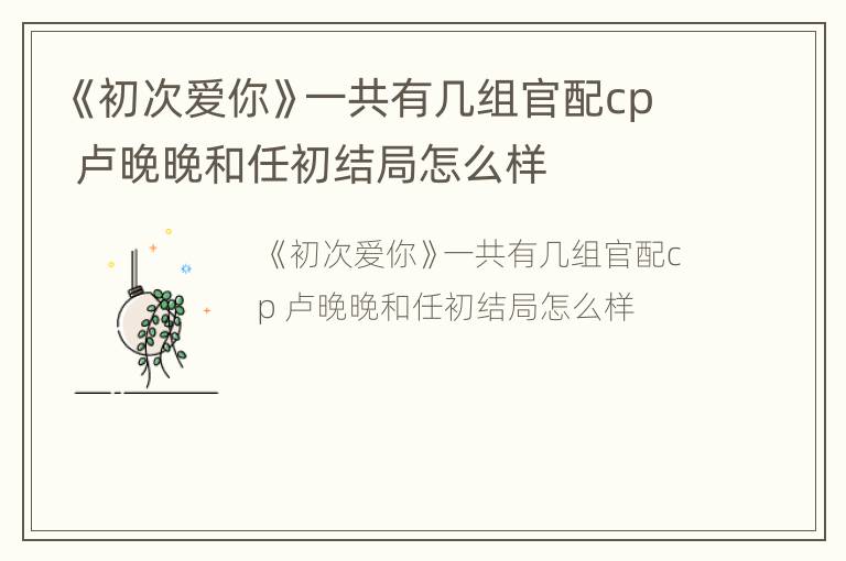 《初次爱你》一共有几组官配cp 卢晚晚和任初结局怎么样