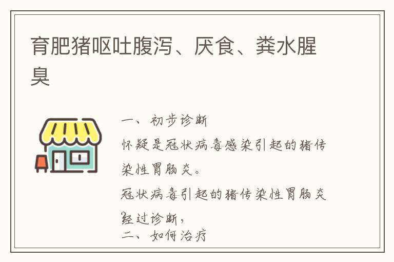 育肥猪呕吐腹泻、厌食、粪水腥臭