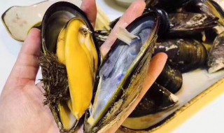 青贝怎么洗 如何洗青贝