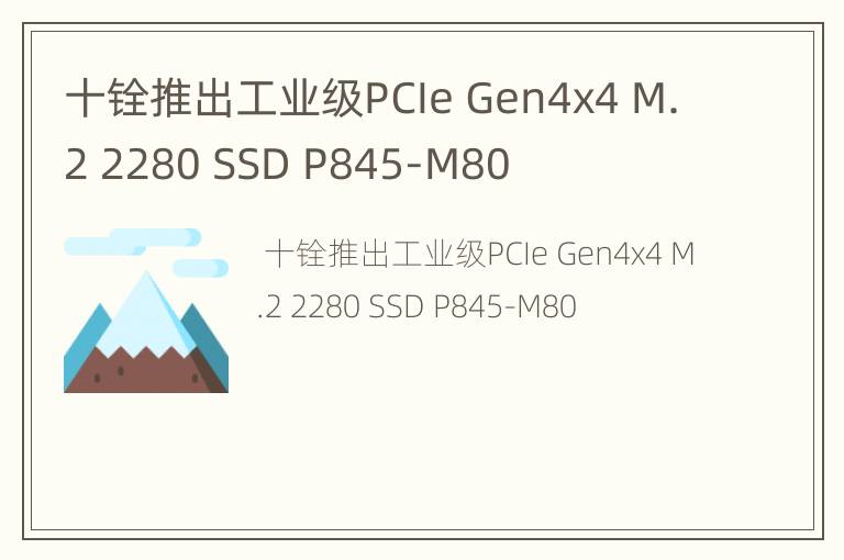 十铨推出工业级PCIe Gen4x4 M.2 2280 SSD P845-M80