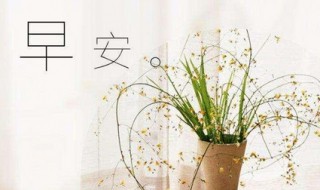 早上好问候语?周末客户 周末给客户的早上问候语