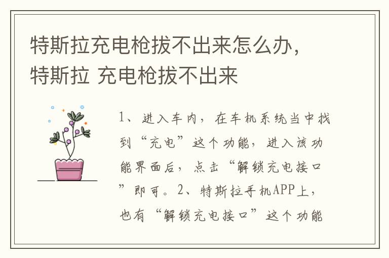特斯拉充电枪拔不出来怎么办，特斯拉 充电枪拔不出来