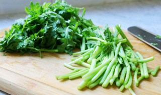 炒茼蒿的家常做法是什么 炒茼蒿的家常做法